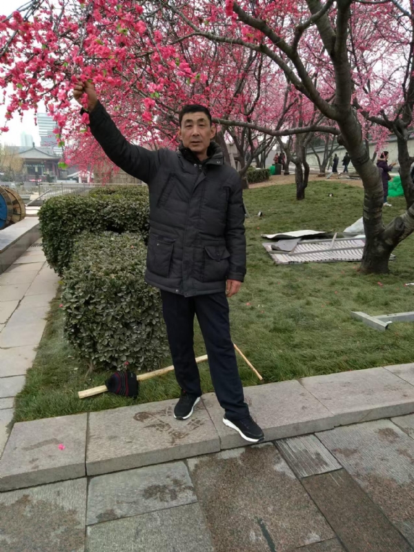 风雨的第一张照片--泰安王婆说媒